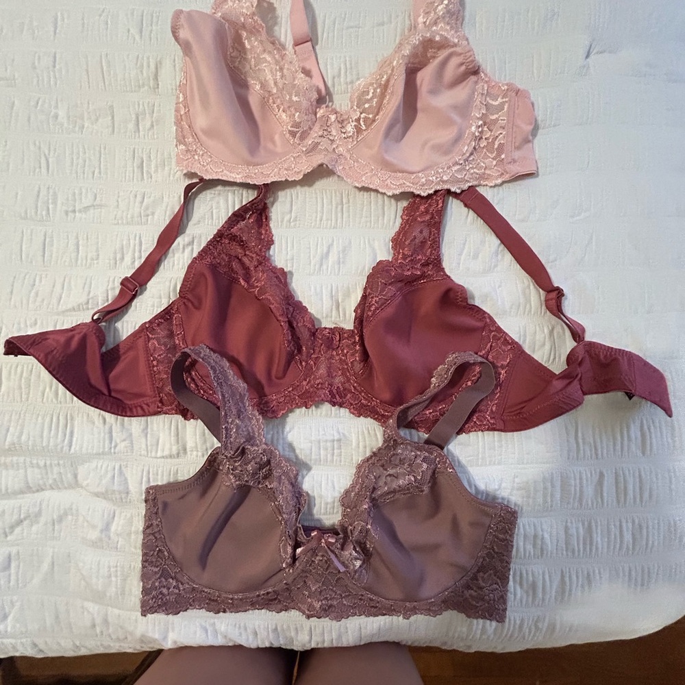 Lace Trimmed Bra Set - Blush, Burgundy, and Taupe